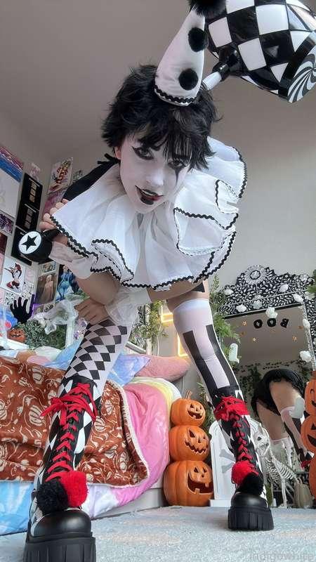 indigowhite image #102
