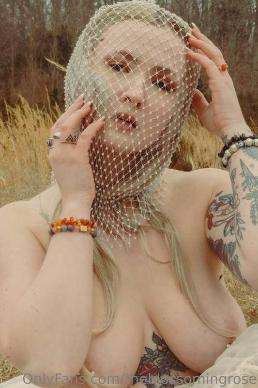 theblossomingrose image #5