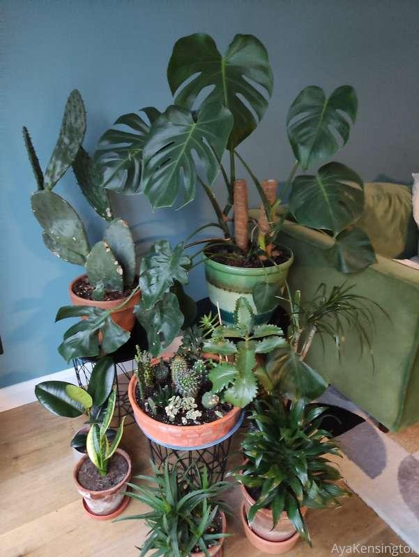 Checking out my friend's plants while being half naked. Aren..
