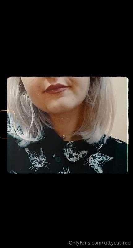 Kitty Cat Cat 😺