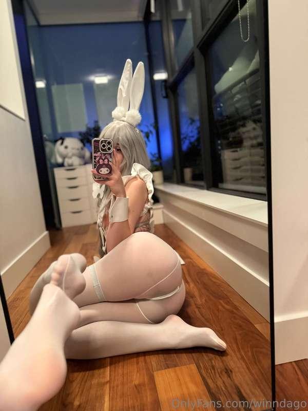 Bunny girl at your service