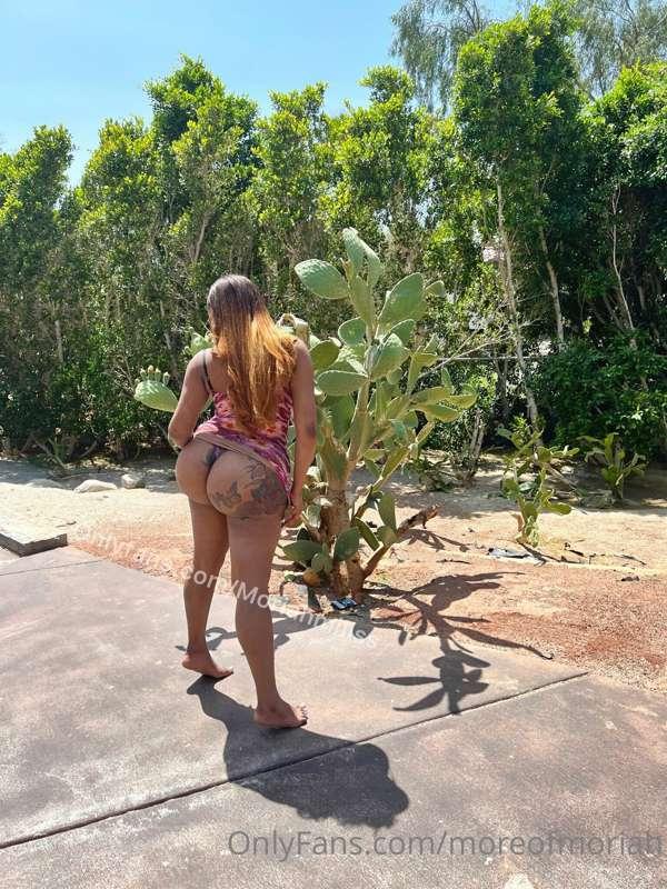 I'll let you take control of this A$$.. Just send a message ..