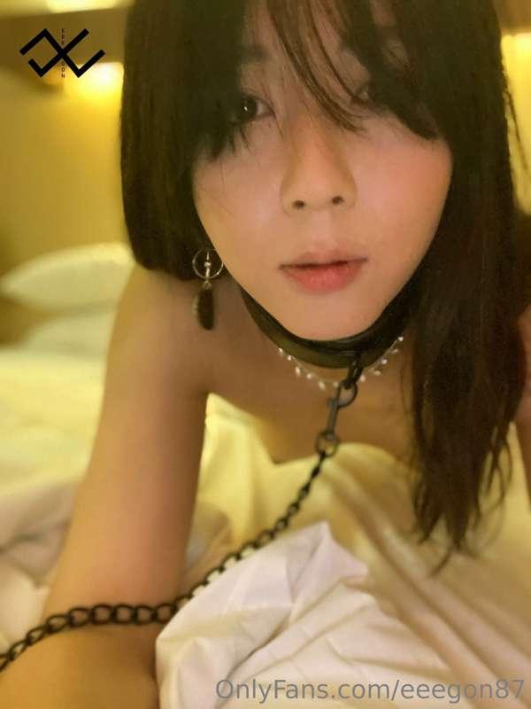 eeegon87 image #23