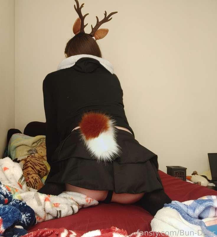 bun-deer image #1