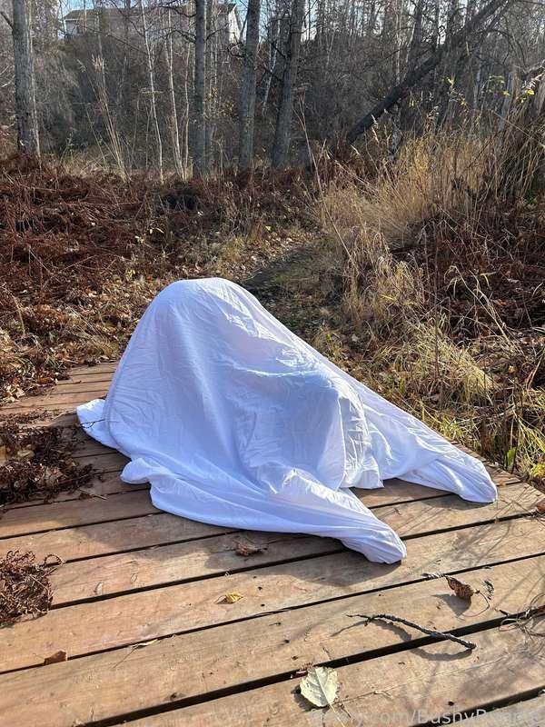 bushybunnie image #9