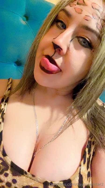 daysuperstar2 image #10