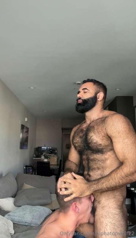 alphatopwolf22 image #5