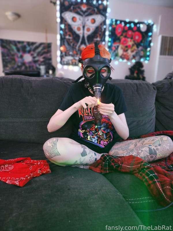 thelabrat image #4