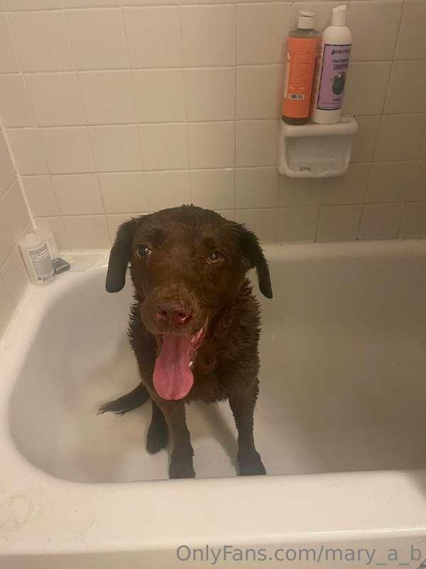 Splish , splash , she was taking a bath 🐶💦

A little birdy t..