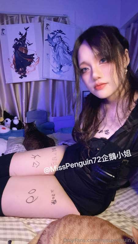 misspenguin72 image #5