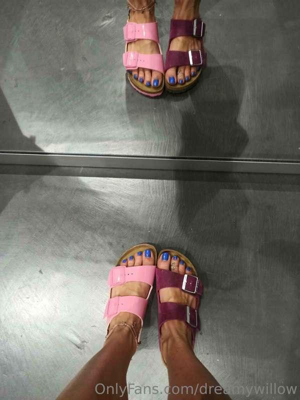 dreamywillow image #2