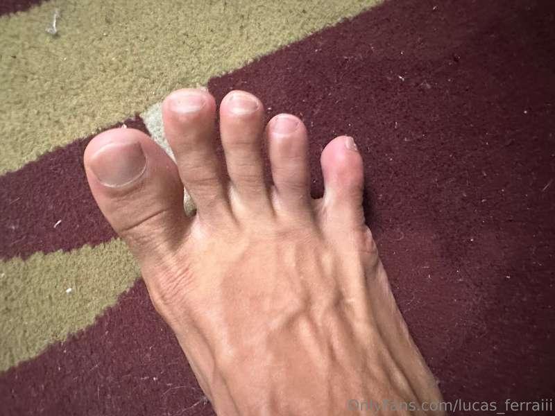 lucas_ferraiii image #12