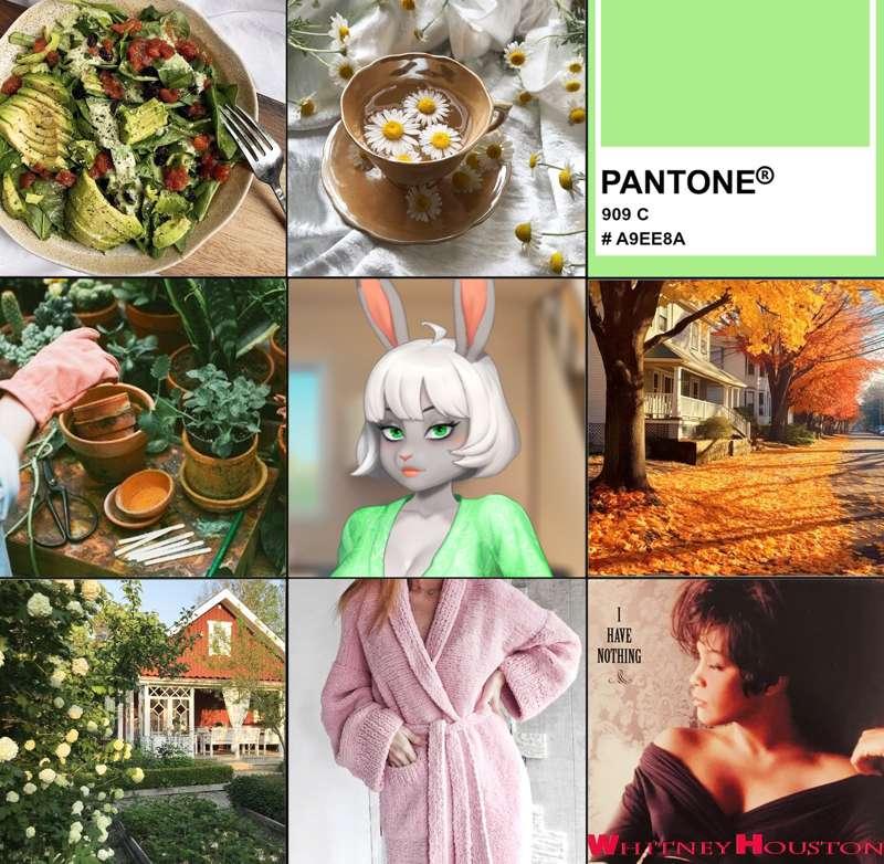 Aesthetics of Golden Coast Characters 💖