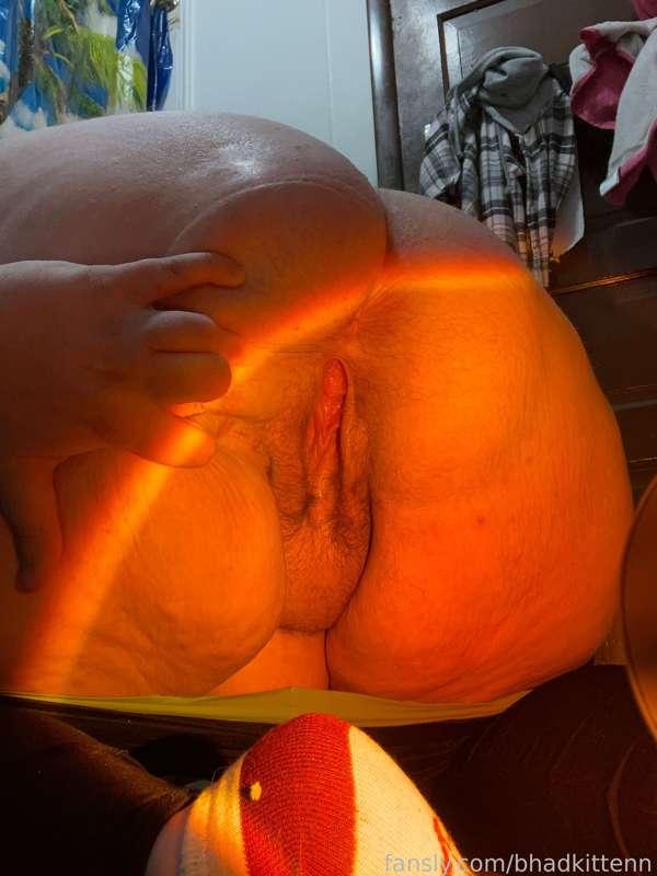 bhadkittenn image #3