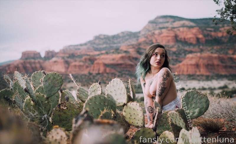 itslunalore image #2