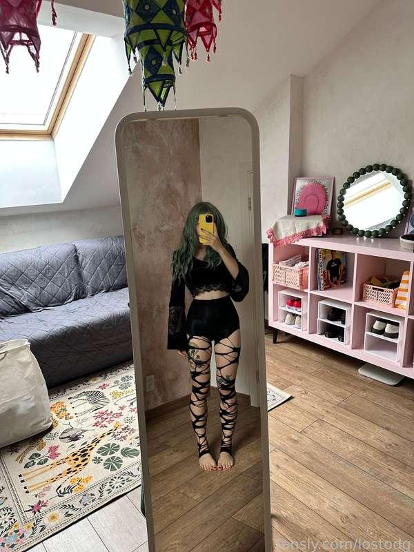 lostodg image #2