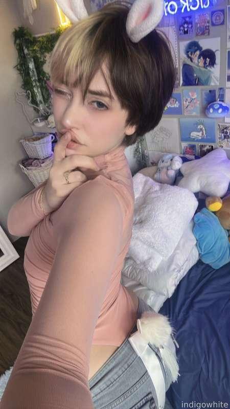 indigowhite image #42