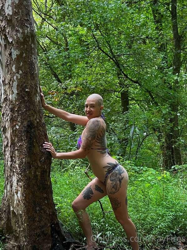 Wanna see me push this tree over? 😝