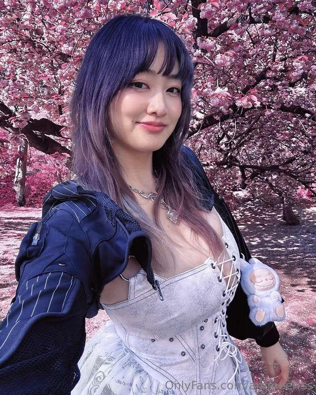 🌸🌸🌸🌸