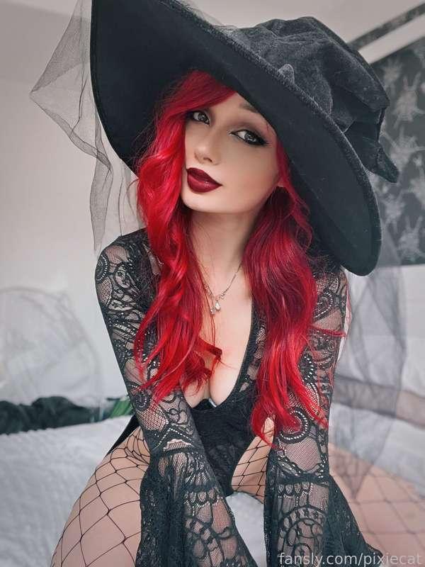 pixiecat image #29