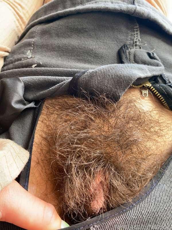 lostodg image #2