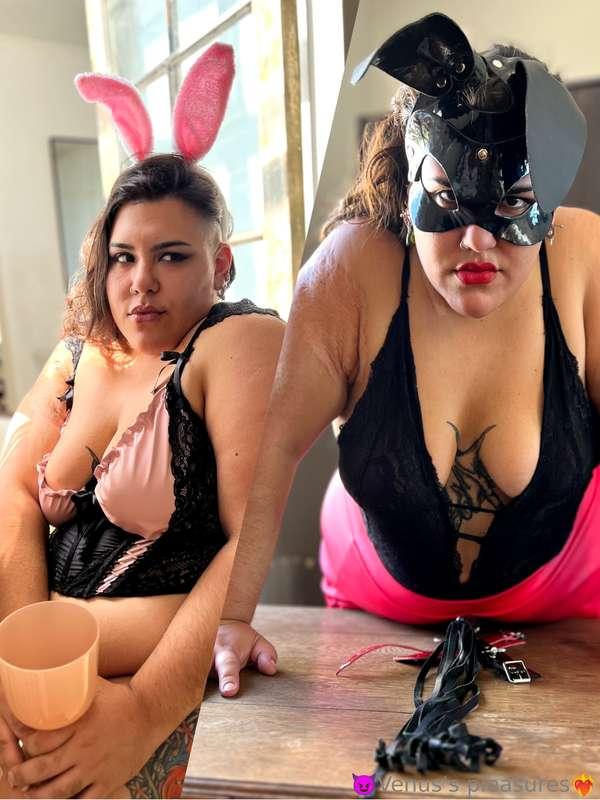 Which bunny do you want more?
