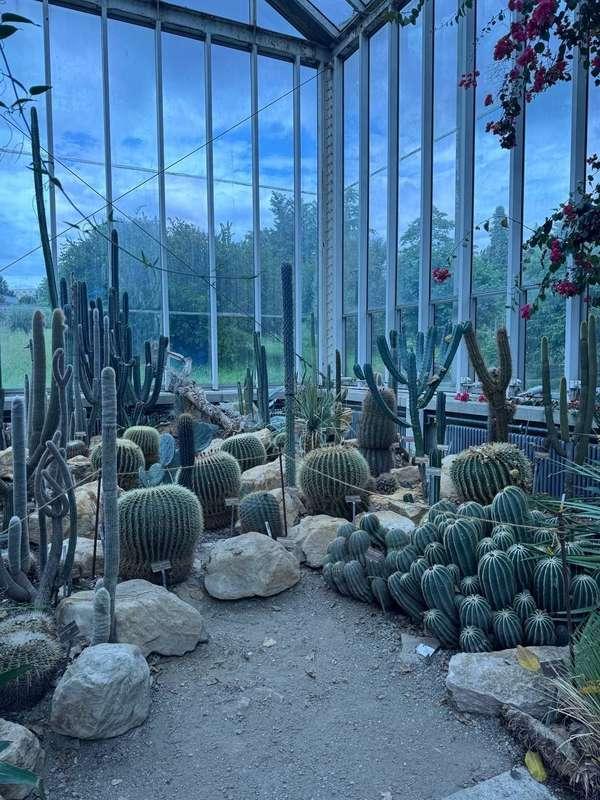 yoursmalldoll image #1