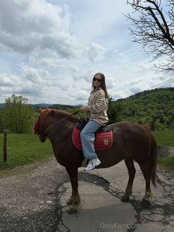 Why You Should Love HorsesHorses are a symbol of strength an..