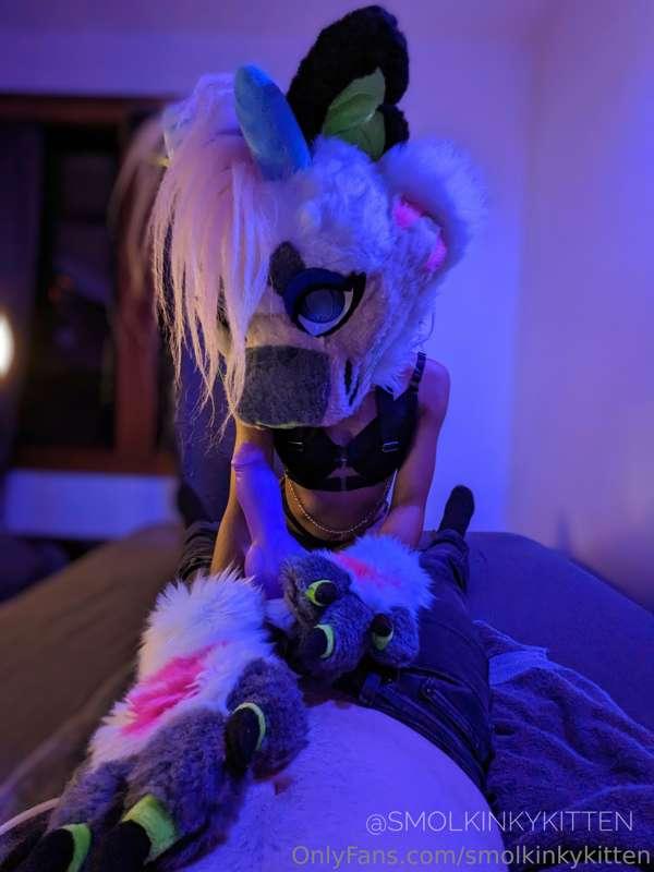 Happy Fursuit Friday! Why don't you celebrate it with me~ Ne..