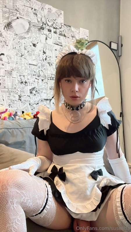 suselida image #8