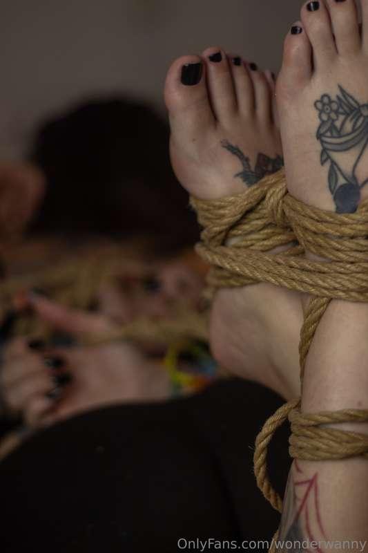 wonderwanny image #37