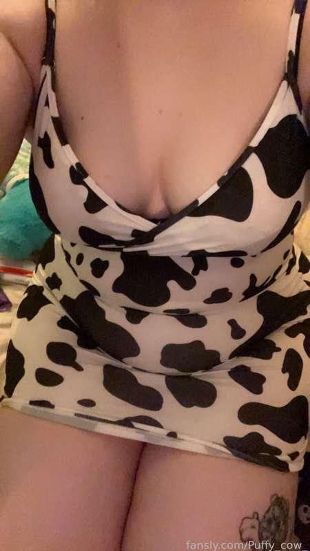 puffy_cow_ image #4