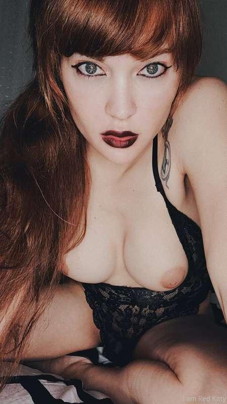 Kitty in black