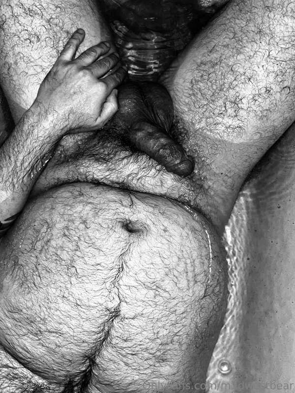 m1dwestbear image #13