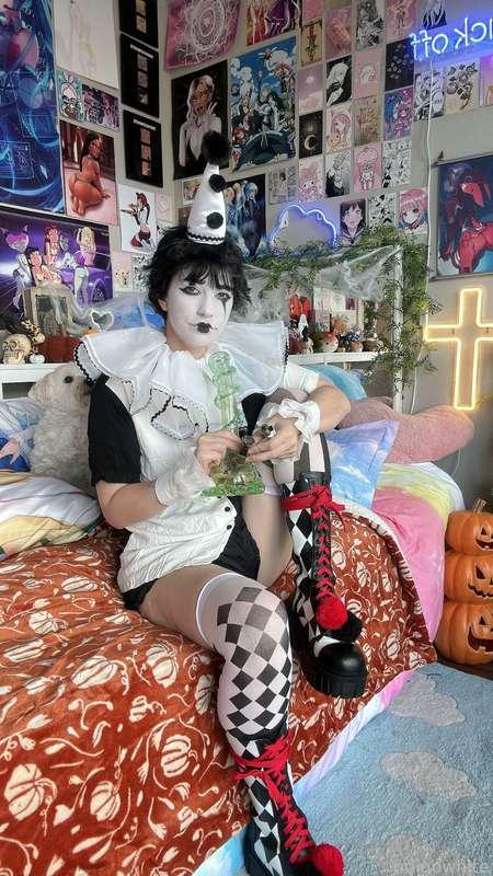 indigowhite image #11