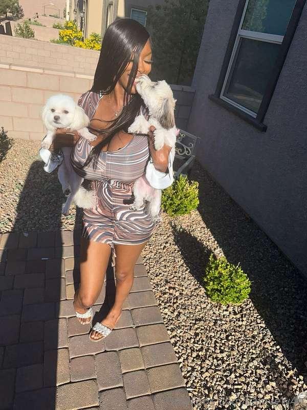 I had to take my dogs 🐶 🐶 for a walk two 🏈🏈 at a time ! Whew..