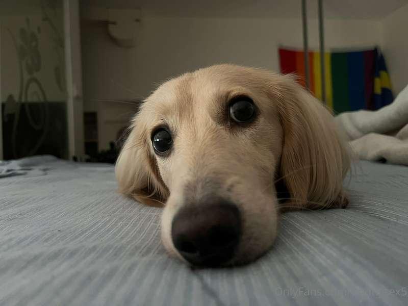 Hi