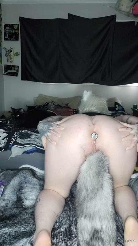 mzmeowmers image #13