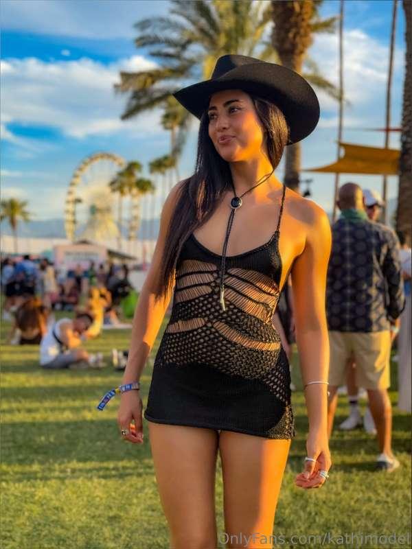 🎡