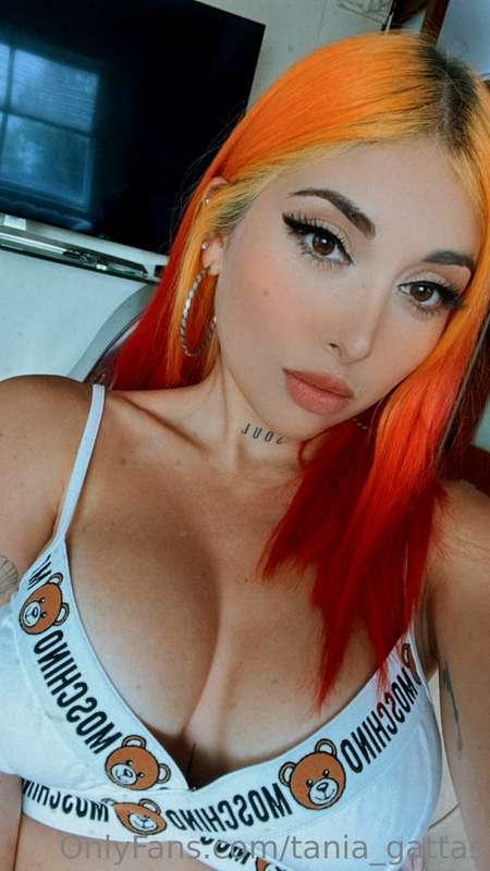 tania_gattas main image