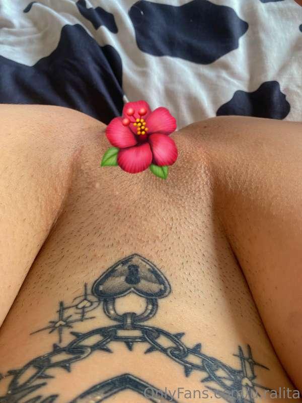Quieres verlo sin la flor? 🤭😜