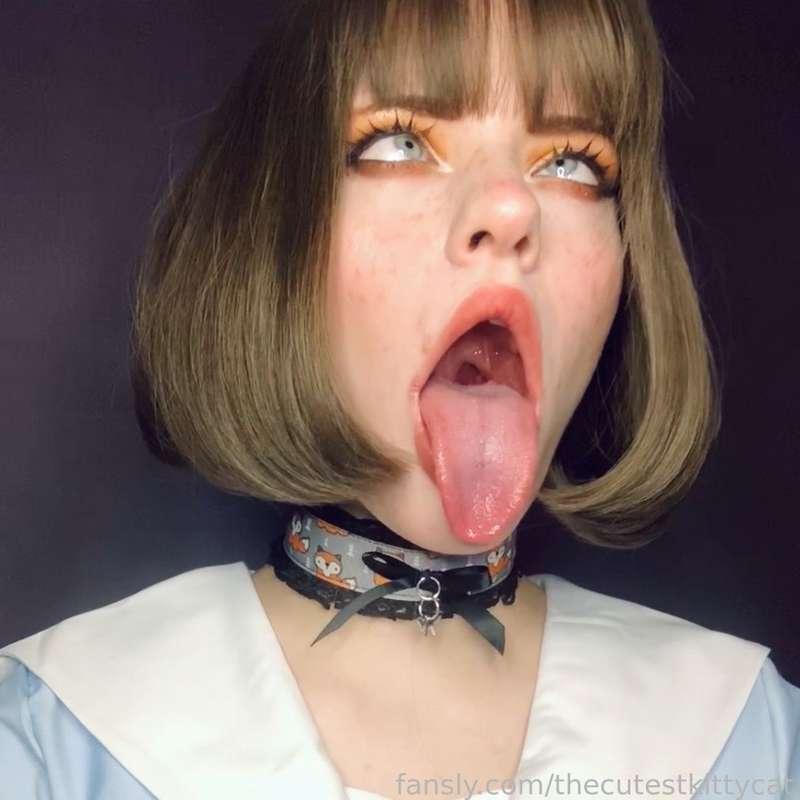 thecutestkittycat image #1