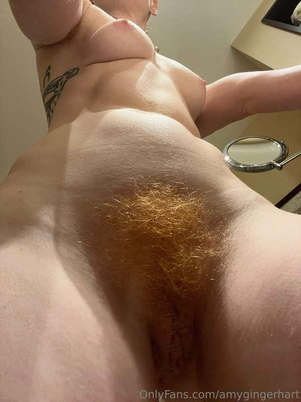 amygingerhart image #1