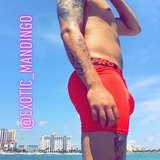 exotic_mandingo