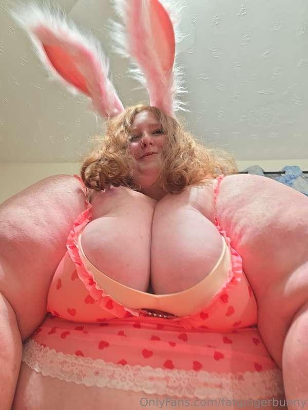 fatgingerbunny image #1