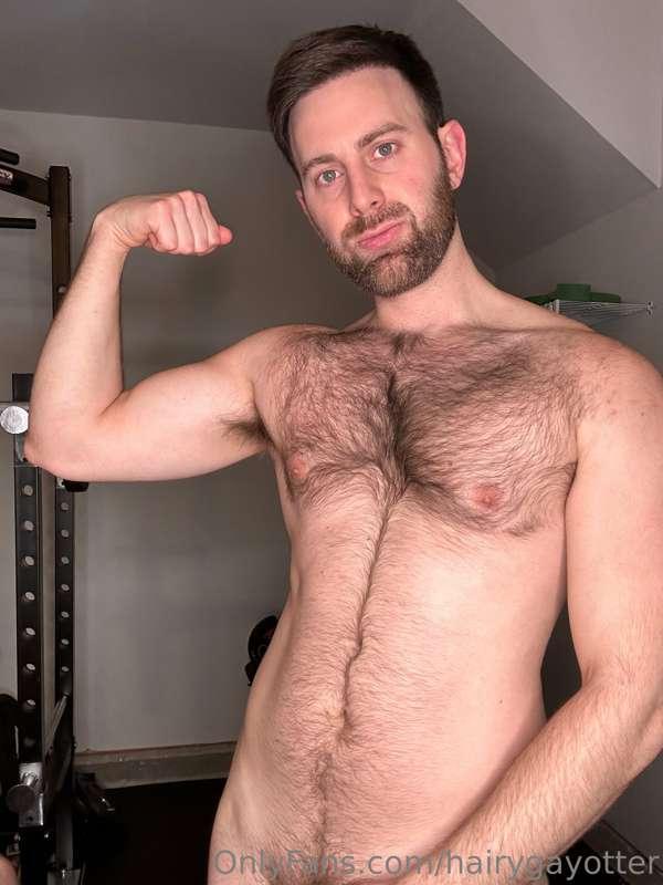 hairygayotter image #0