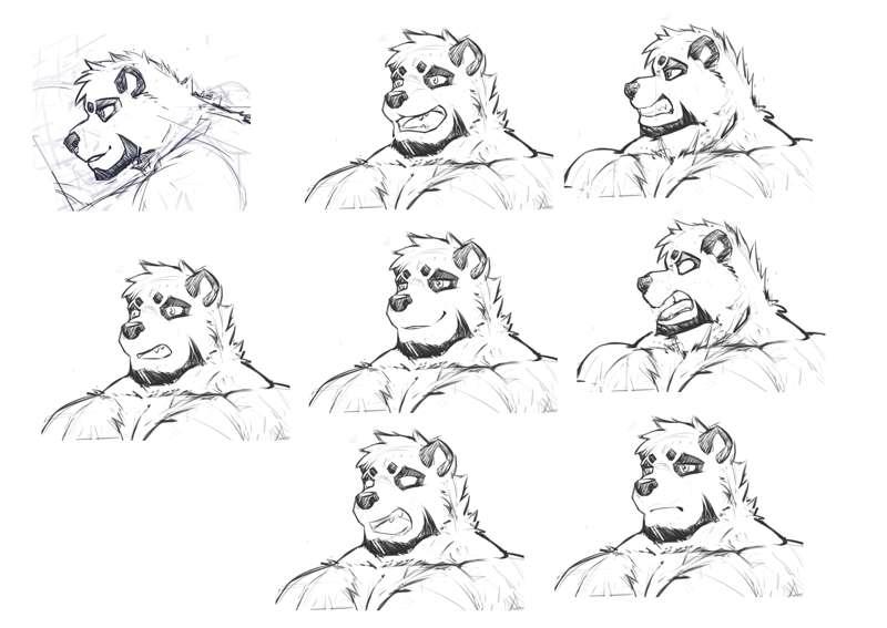 Bander Design(expression)