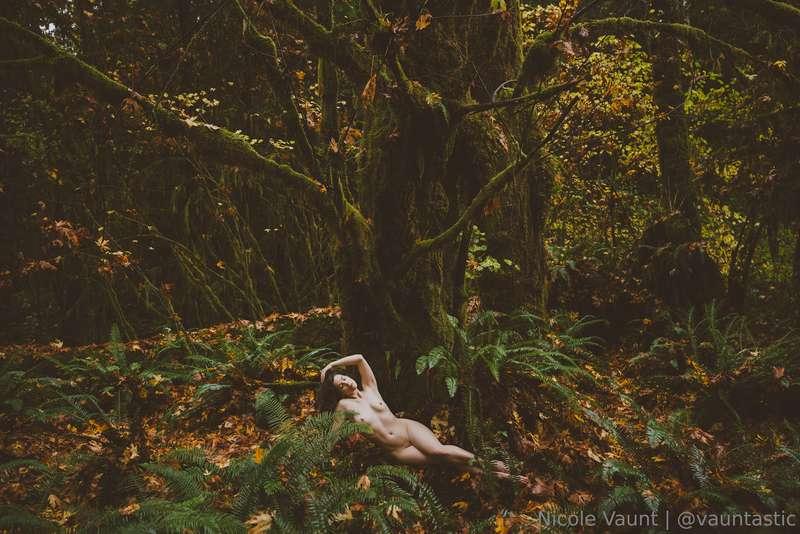 I love this forest!