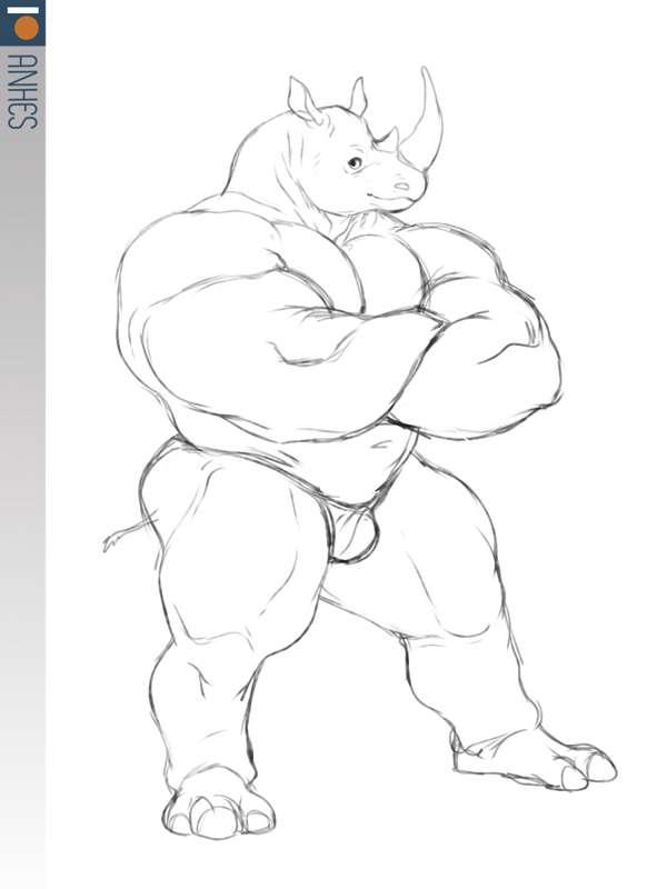 Sturdy rhino - process