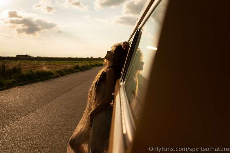 roadtrips into the wild